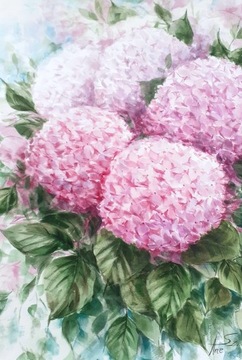 Obraz kwiaty hortensje akwarele A3