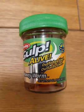 Przynęta Berkley Gulp! Alive Honey Worm Red