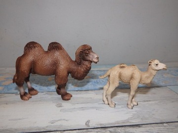 Schleich wielbłąd dwugarbny 2x figurka mały duży