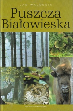 Puszcza Białowieska; Jan Walencik