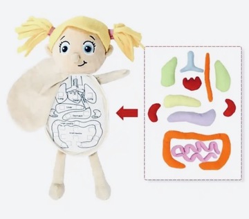 Pluszowa lala pacjent dziewczynka narządy anatomia