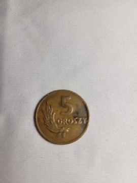 Moneta 5 groszowa 1949-Polska