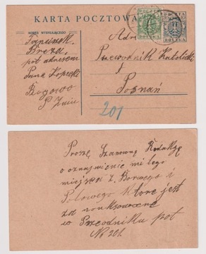 Rogowo koło Żnina 1919