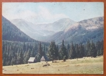 TATRY ZACHODNIE POLANA CHOCHOŁOWSKA CZER. WIERCH