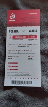 Bilet Kolekcjonerski Polska - Walia