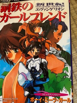 Evangelion - manga, fan fic, j japoński