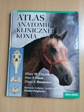 Atlas anatomii klinicznej konia Clayton Flood Rose