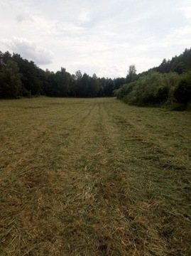 Łąka o powierzchni 1 ha