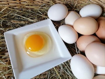 Jajka Jaja wiejskie naturalne  30 szt WOLNY WYBIEG