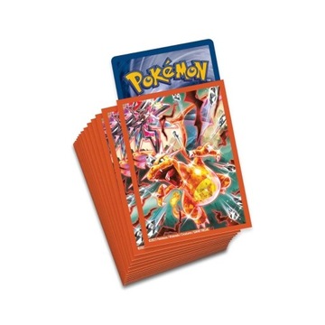 Charizard ex Premium 65 sztuk koszulek