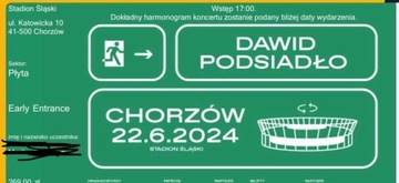 2 bilety na koncert Dawida Podsiadło 22.06 - EARLY ENTRANCE 