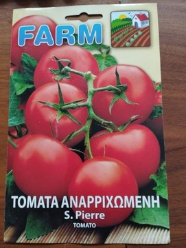 Nasiona pomidorów z Krety 