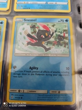 Sneasel 43/236