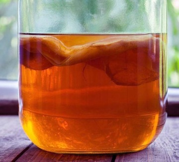 Kombucha Kambucza