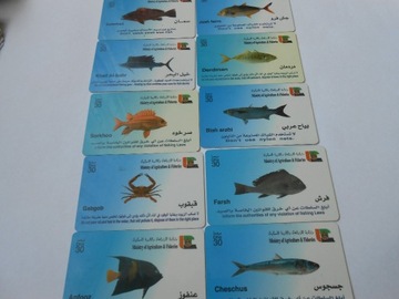 Zestaw 10 kart tel. Arabia ryby