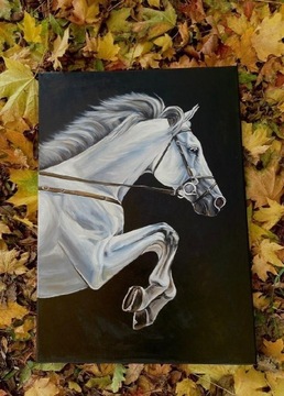 Obraz akrylowy "Biały koń"