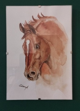 Portret konia ze zdjęcia na zamówienie akwarela A4