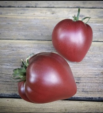 Pomidor Cherokee Purple Heart