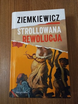 Rafał Ziemkiewicz - Strollowana rewolucja