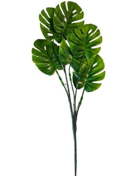 Monstera mini w bukiecie