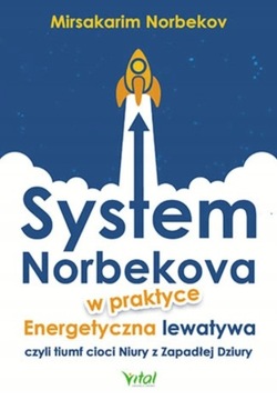 System Norbekova w praktyce