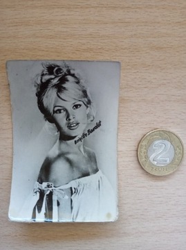 Stare zdjęcie Brigitte Bardot 1964 modelka aktorka
