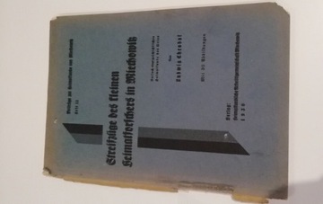 Streifzüge (.) Heimatforschers in Miechowitz 1930