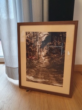 Leśny dukt - Fotografia  w oprawie 42 x 52 cm