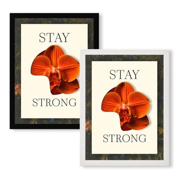 PLAKAT W RAMIE | A3 | KWIAT | STAY STRONG