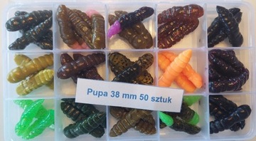 Pupa larwa 38 mm 3.8 cm 1.7 g - 50 sztuk zestaw