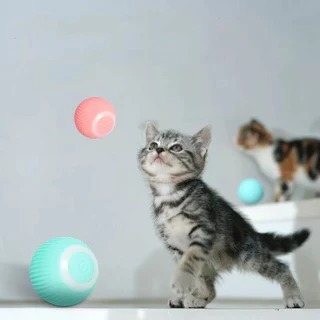 Piłka Zmyłka - silikonowa piłka do zabawy dla kota