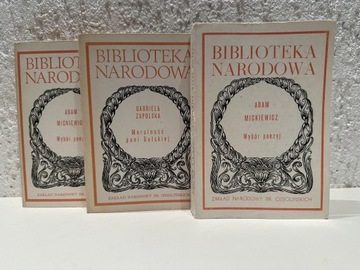 Biblioteka narodowa. 