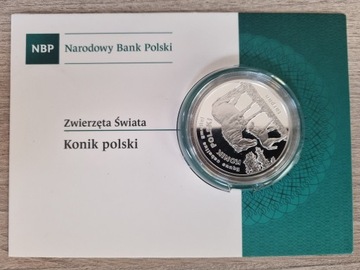 20 ZŁ KONIK POLSKI 2014R.