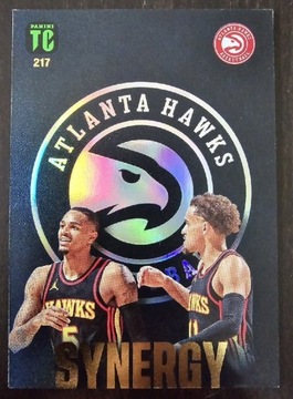 Panini Top Class NBA Synergy Atlanta Hawks 217
