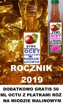 ŻYWY EKOLOGICZNY OCET JABŁKOWY - 0,2L