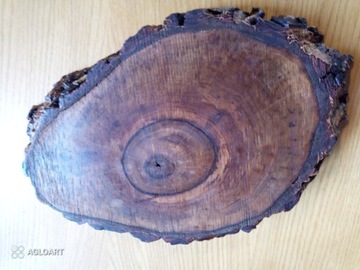 Plaster drewna orzech włoski 33 cm krążek drewna  