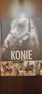 Książka Konie okazja !