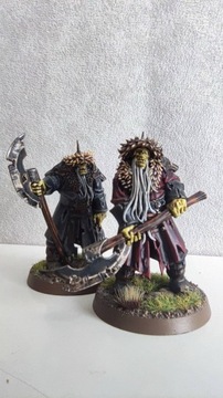 Warcry/AoS Soulblight Gravelord Kosargi Nightguard