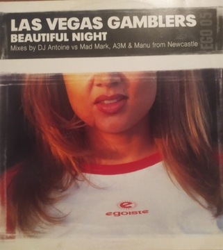 Las Vegas Gamblers Beautiful Night Singiel house 