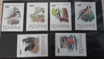 Znaczki czyste Polska1993r Mi3458-63 Ptaki