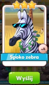Spoko Zebra Coin Master