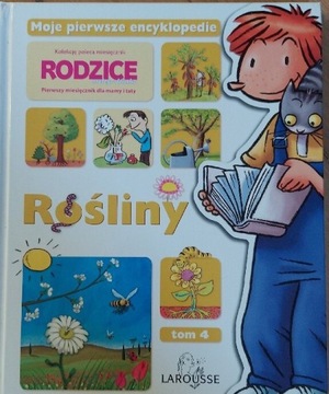 Rośliny 