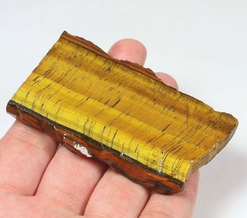 tygrysie ok-tiger eye "torcik"