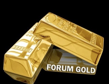 Forum Gold d2jsp - 1000 fg