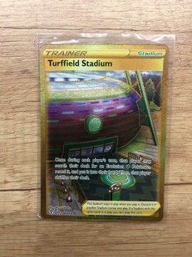 Karta Pokemon Turffield Stadium 234/203 Evolving Skies