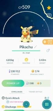 Pikachu Event 2020 | Pokémon Go