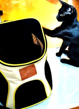 Transporter plecak torba dla kota 