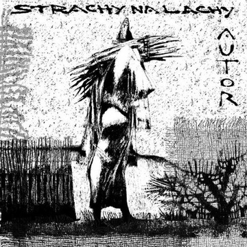 Płyta CD Strachy na Lachy " Autor " 2007 S.P.R.