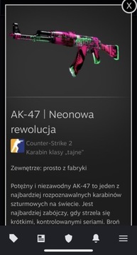 Skin CS2 AK-47 | Neonowa rewolucja