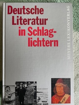 Deutsche Literatur in Schlaglichtern